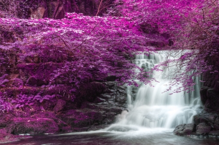 * - waterfall, purple, trees, nature