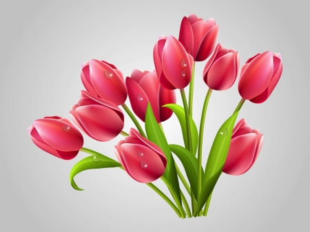 Tulips - card, flower, pink, tulip, spring, green