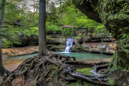 Forest waterfall - cascades, park, greenery, waterfall, rocks, forest, beautiful, tree, bridge