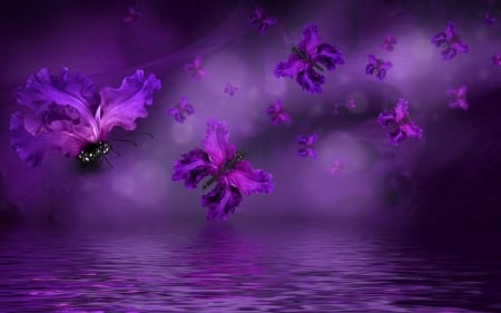 Butterfly Flowers - flowers, water, purple, water drops, butterflies, drops, Hydrangeas, Iris