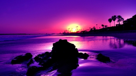 Purple Sunrise - stone, seagulls, palms, black, waves, foam, nature, blue, sand