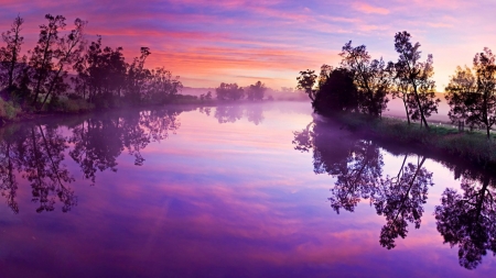 Water from the Rising Sun - clouds, horizon, trees, water, lagoon, foggy, reflection, white, nature, grove