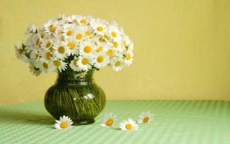 Still Life - flowers, container, still life, glass