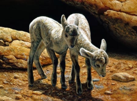 Baby Bighorns - painting, sheep, lambs, artwork