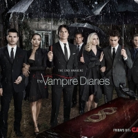 The Vampire Diaries (TV Series 2009â€“ )