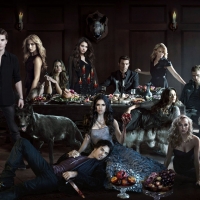 The Vampire Diaries (TV Series 2009â€“ )