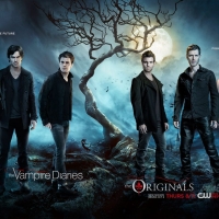 The Vampire Diaries (TV Series 2009â€“ )
