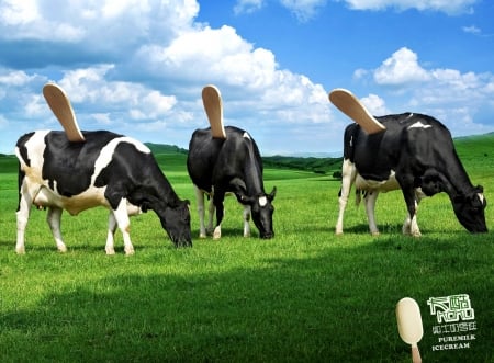 Pure milk ice cream - blue, commercial, grass, creative, black, white, animal, funny, green, cloud, situation, trio, vaca, ice cream cow, sky, add