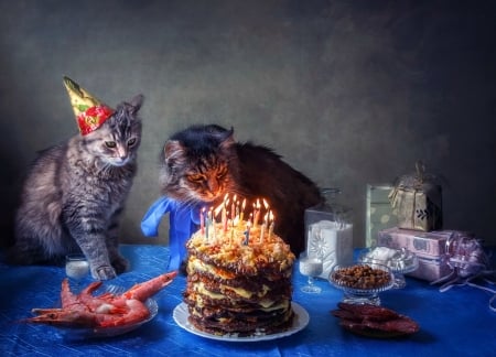 It is difficult to blow out 20 candles - funny, cute, birthday, cat, daykiney, pisici, blue, candle, hat, food, couple, cake