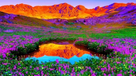 Purple Flowers - river, water, landscape, colors, mountains, reflection