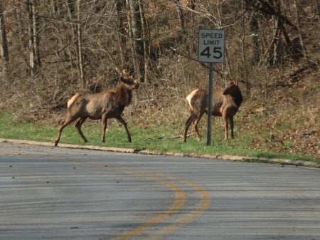 Hwy 43 cruise