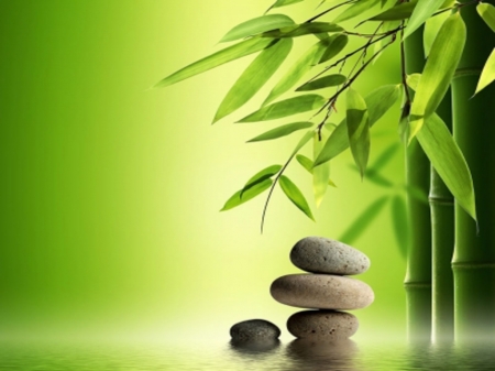 Still Life - bamboo, zen stones, green, spa