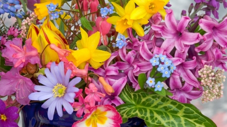 spring flowers