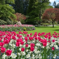 Butchart Gardens, Canada