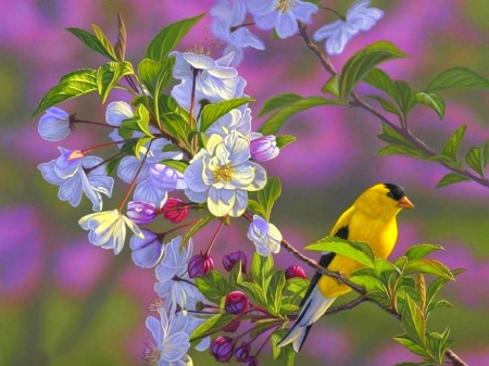 Goldfinch of Spring Blossoms - animals, spring, bird, goldfinch, nature, love four seasons, paintings, flowers, garden