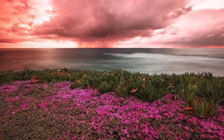 Beautiful Sky - Flower, Nature, Sea, Sky