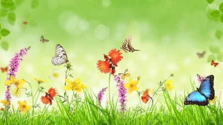 Spring Butterflies - butterflies, flowers, spring, wildflowers, leaves, grass