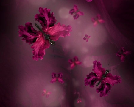 Butterflies - skin, butterfly, purple, petals, pink, texture