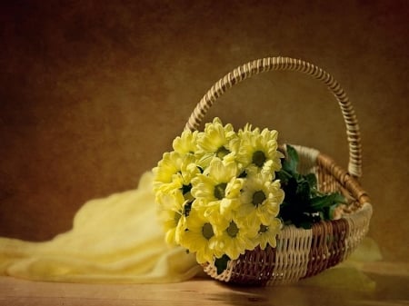 DAISIES - daisies, leaves, basket, petals