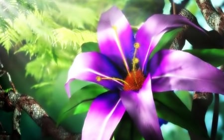 LILY - leaves, purple, petals, nature