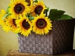 SUNFLOWERS