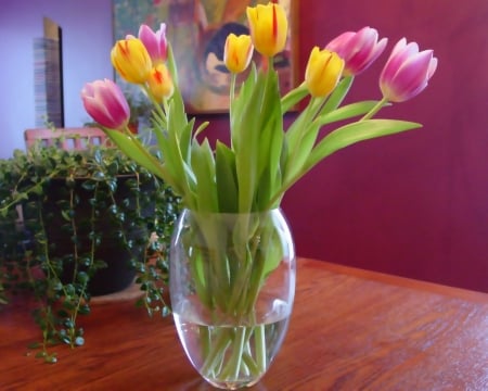 TULIPS - petals, flowers, vase, leaves, colors