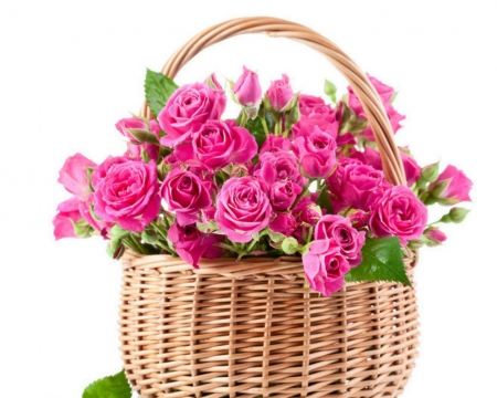 Basket of Roses - flowers, basket, roses, petals