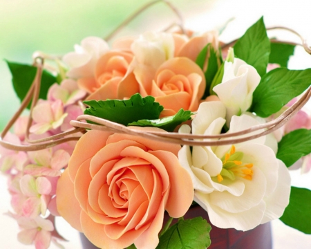 Beautiful Flowers - flowers, roses, petals, nature