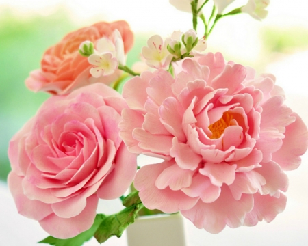 Beautiful Flowers - flowers, petals, pink, nature