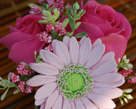 Beautiful Flowers - bloom, flowers, petals, gerbera