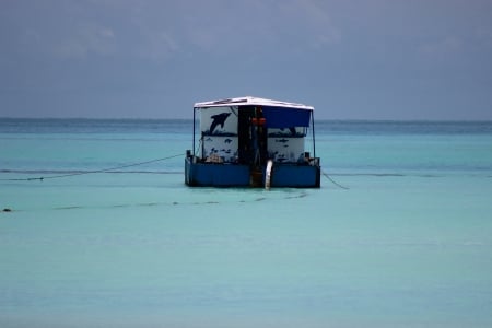 Meeru - sky, blues, sea, boat