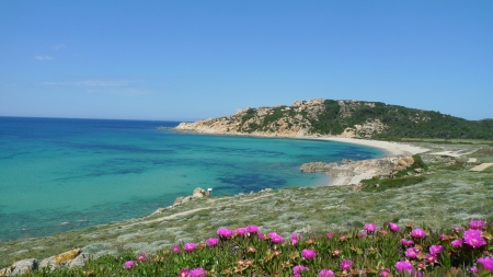 The Island Of Sardinia, Italy - nature, beach, sardinia, italy, island, flowers