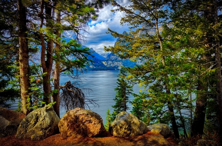 View of mountain lake - trees, branches, beautiful, landscape, mountain, stones, tranquility, view, serenity, lake, rocks