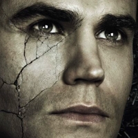 The Vampire Diaries (TV Series 2009â€“ )