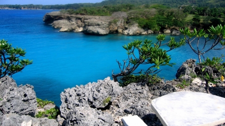 Crystal Clear Water Of Jamaica Port - river, trees, water, nature, port, crystal, rocks