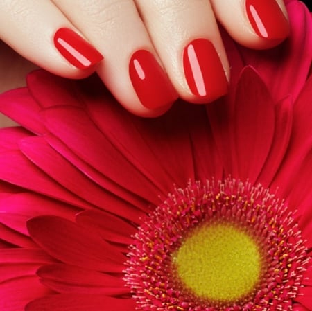 ♥ - abstract, flower, red, nails