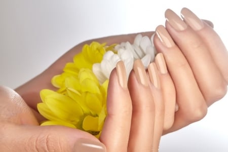 â™¥ - hands, nails, flowers, gerberas