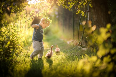 New Day - child, duck, sunlight, boy