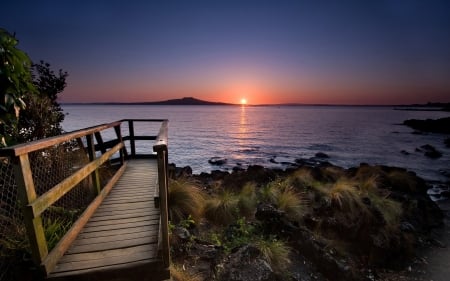 Sea Sunset - trees, sunset, nature, sea, grass