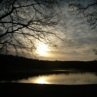 grey sky