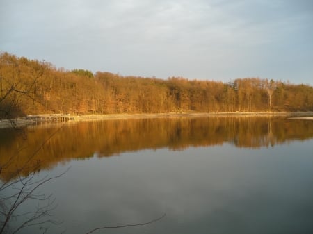 lake - forest, water, beautiful, spring, beach, sun, blue, lake, reflection, coast, clouds, sunlight, river, trees