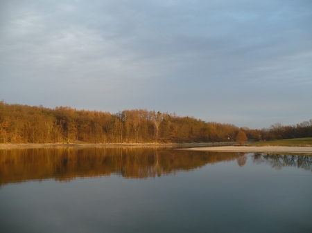 beautiful landscape - forest, beautiful, beach, river, fall, water, landscape, spring, peaceful, blue, lake, sky, coast, island, sunlight, clouds, trees