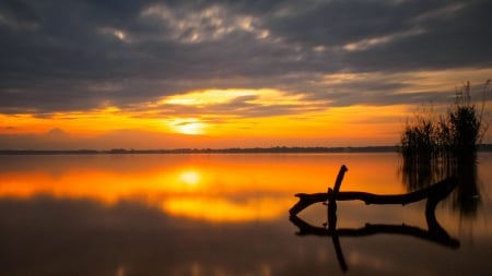 Dark Clouds Reflection at Peaceful Lake - clouds, water, reflection, orange, dark, sunset, nature, lake, sky