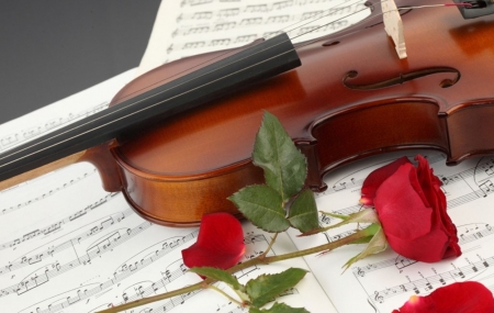 â™¥ - music, string, violin, rose