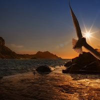 Sea