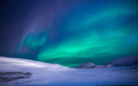 Aurora Borealis - snow, nature, lights, sky