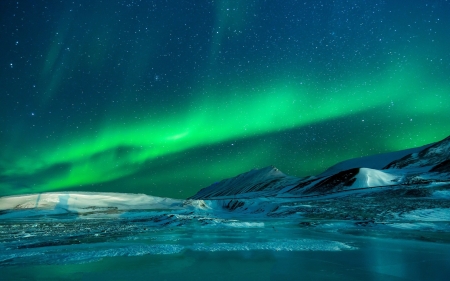 Aurora Borealis - snow, nature, lights, sky