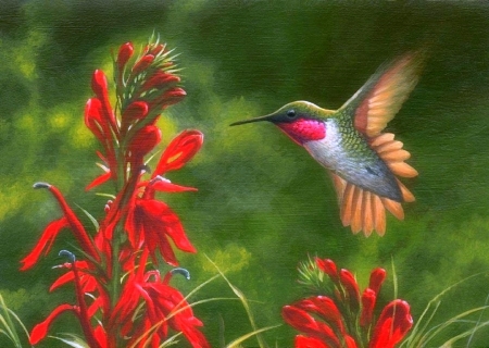 Seeing Red - hummingbirds, summer, paintings, spring, flowers, nature, red, garden, love four seasons, animals