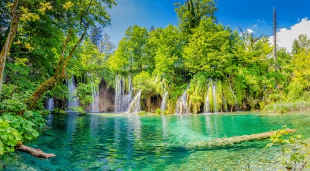 Exotic falls - greenery, trees, pond, beautiful, forest, fall, waterfall, exotic, lake, sky