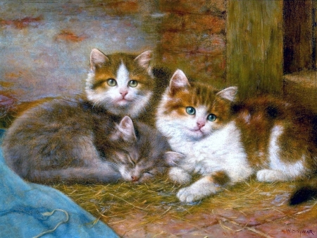 Kittens - pictura, pisica, kitten, painting, cute, trio, art, cat